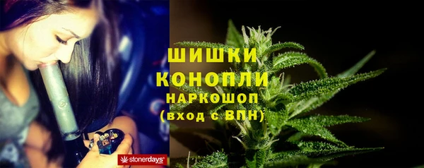 крисы Володарск
