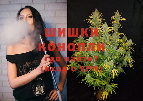 крисы Володарск