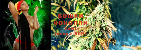 гашик Волосово