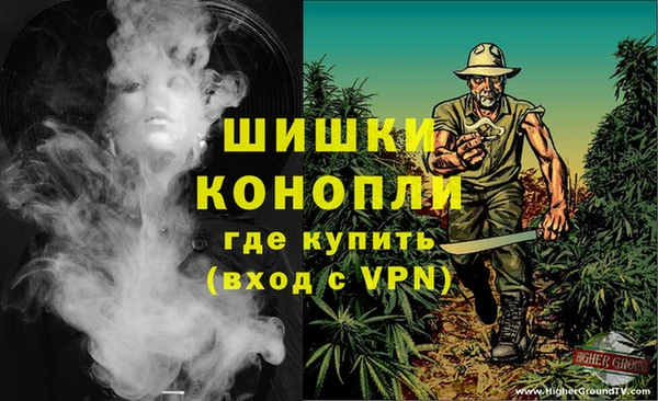 крисы Володарск