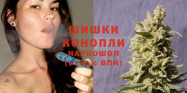 крисы Володарск