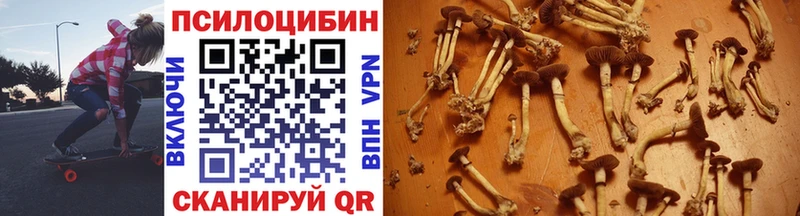 Галлюциногенные грибы мицелий  купить наркотики цена  Муром 