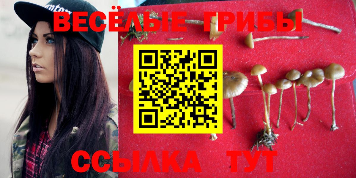 Псилоцибиновые грибы MAGIC MUSHROOMS  Галлюциногенные грибы мицелий  Вход с VPN  купить наркотик  Муром 